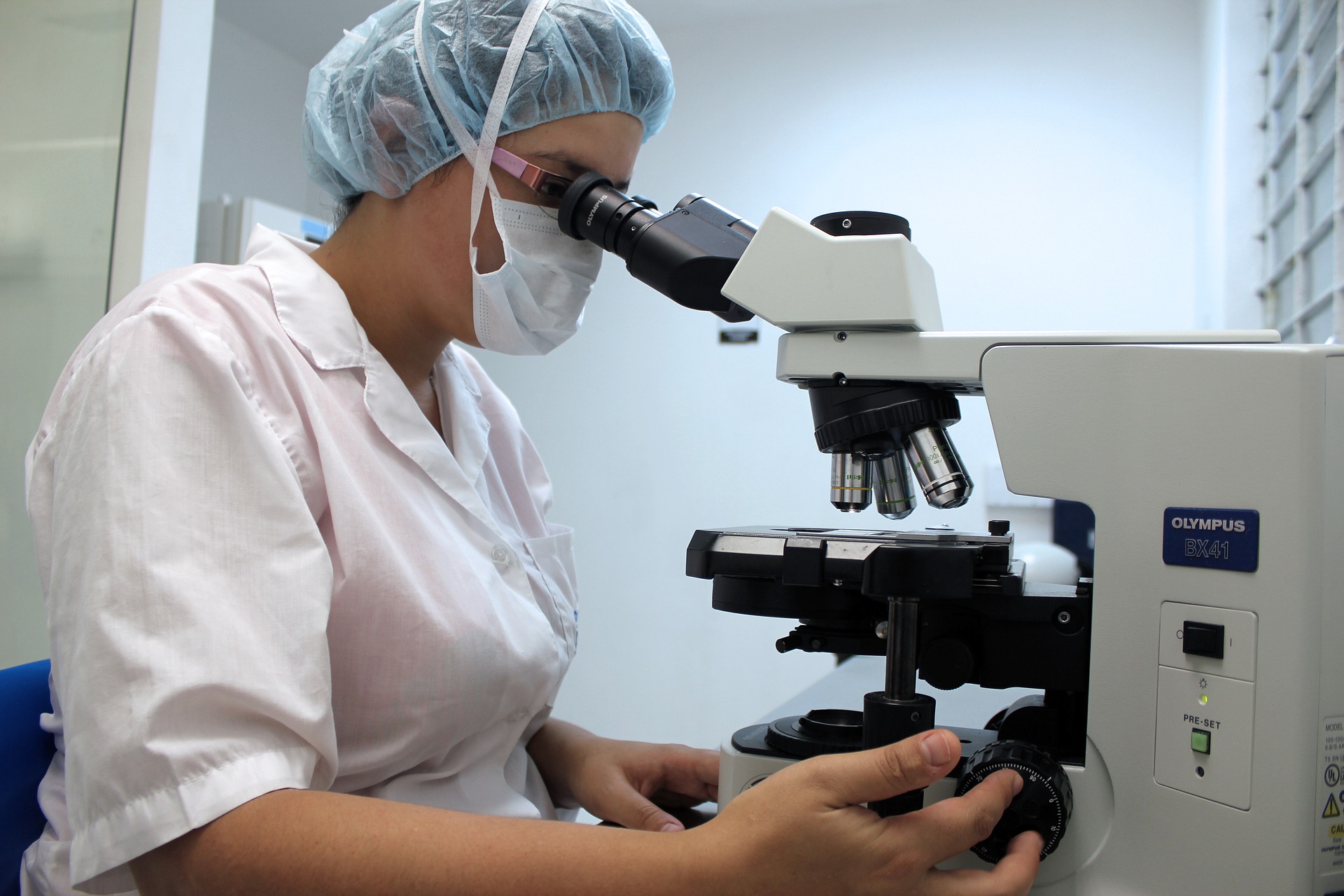instrumental veterinario