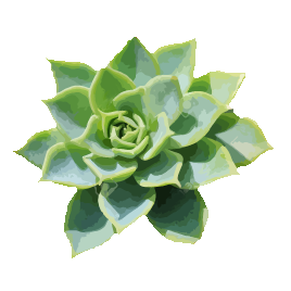 plantas que no debe comer las mascotas